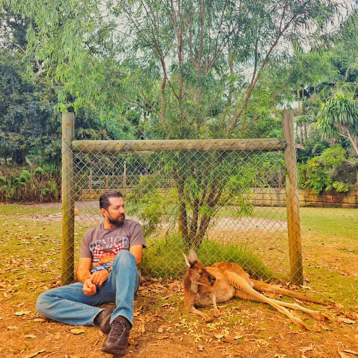 photo_2025-11-01_21-47-39