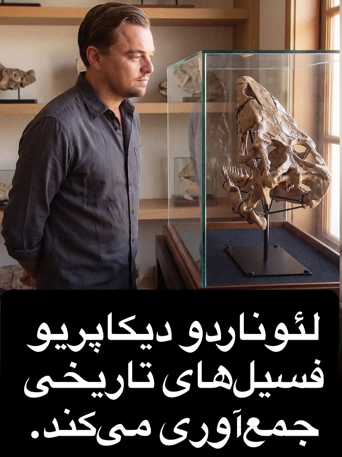 سرگرمی های سلبریتی ها