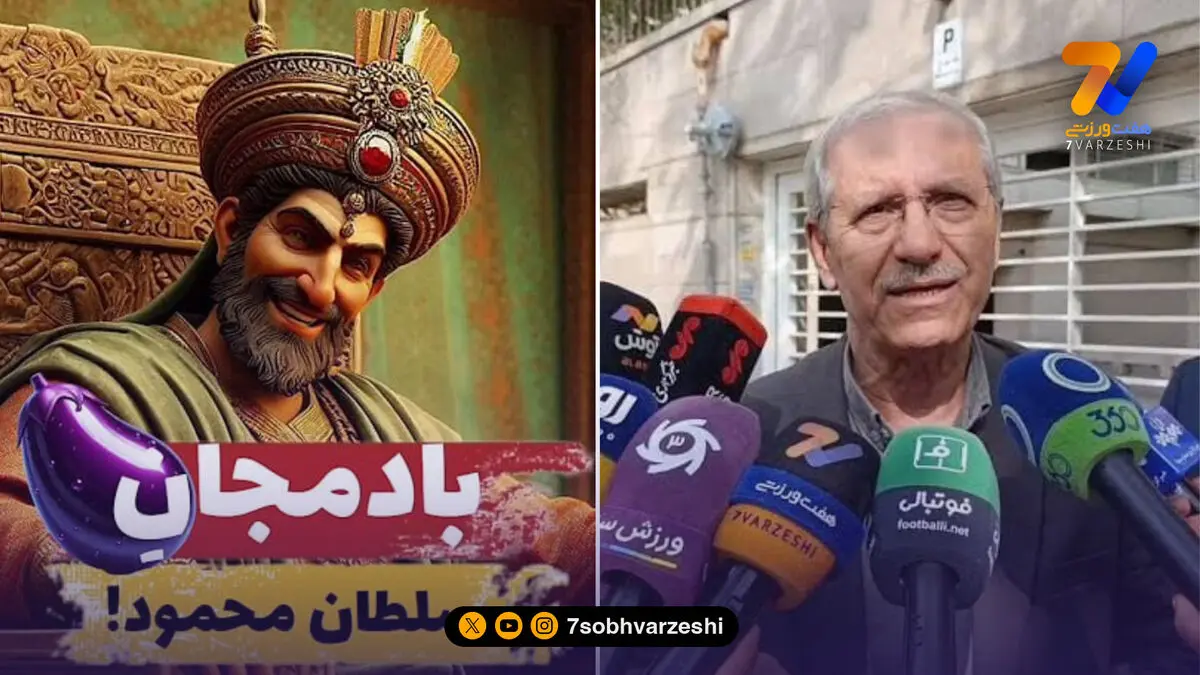 هوشنگ باید چیزی بگوید سلطان محمود را خوش آید، نه بادنجان را!