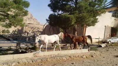 فیلم وضعیت شهران تهران/ علت دود سیاه اطراف انبار نفت