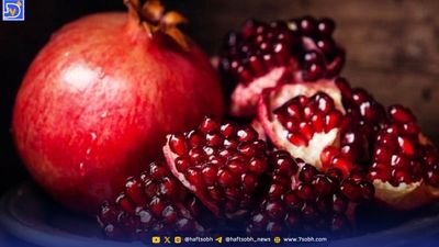 قلب و عروق مرگبارترین بیماری ایرانیان