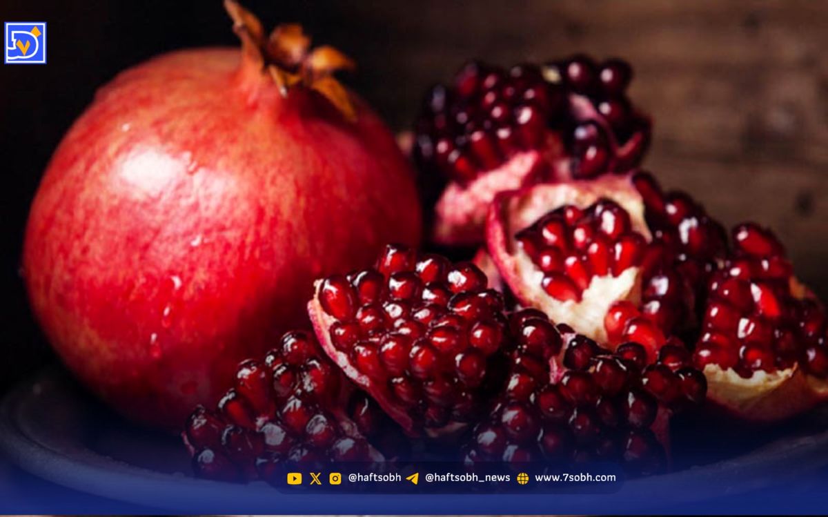 روغن این میوه پاییزی قلبی سالم و آرام به شما هدیه میدهد