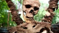 راز ۴۵ هزار ساله «آدم‌خواری نئاندرتال‌ها» در غار بلژیک فاش شد