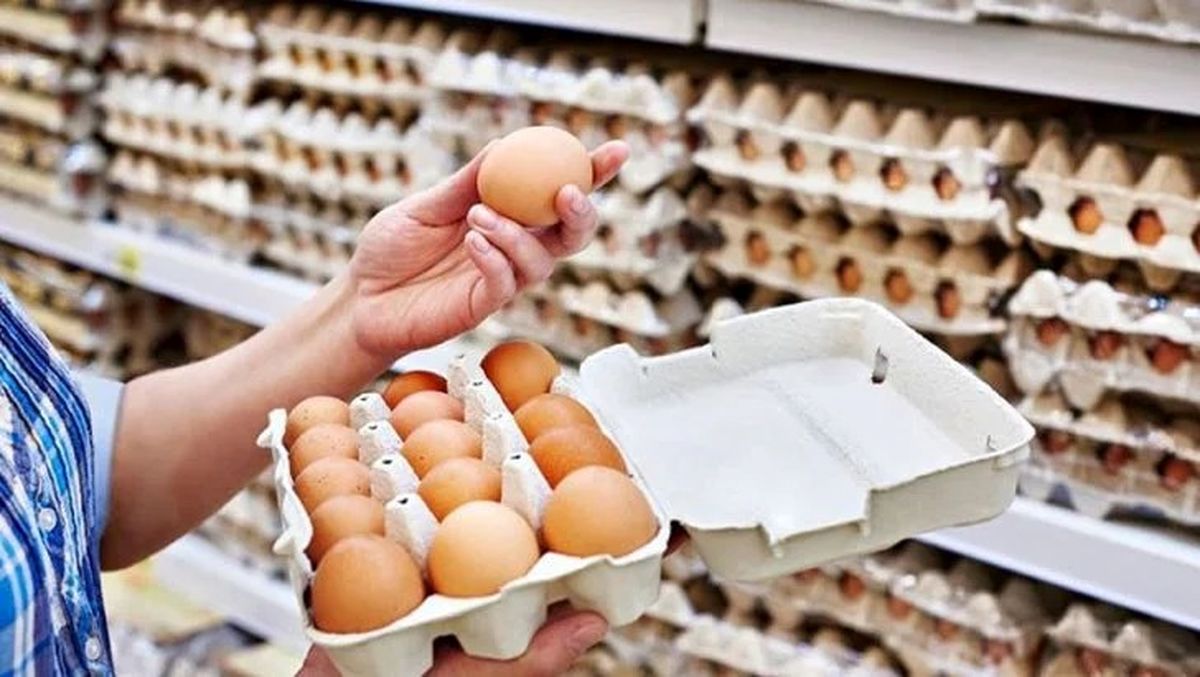 سقوط تاریخی قیمت تخم مرغ