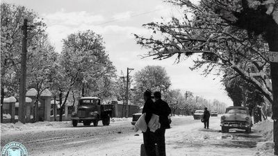 قاب تاریخ| ملکه رانیا ‌در بم، اولین فوتبالیست خارجی لیگ ایران، راهپیمایی‌های دهه50 و ‌پوران فرخزاد‌ 