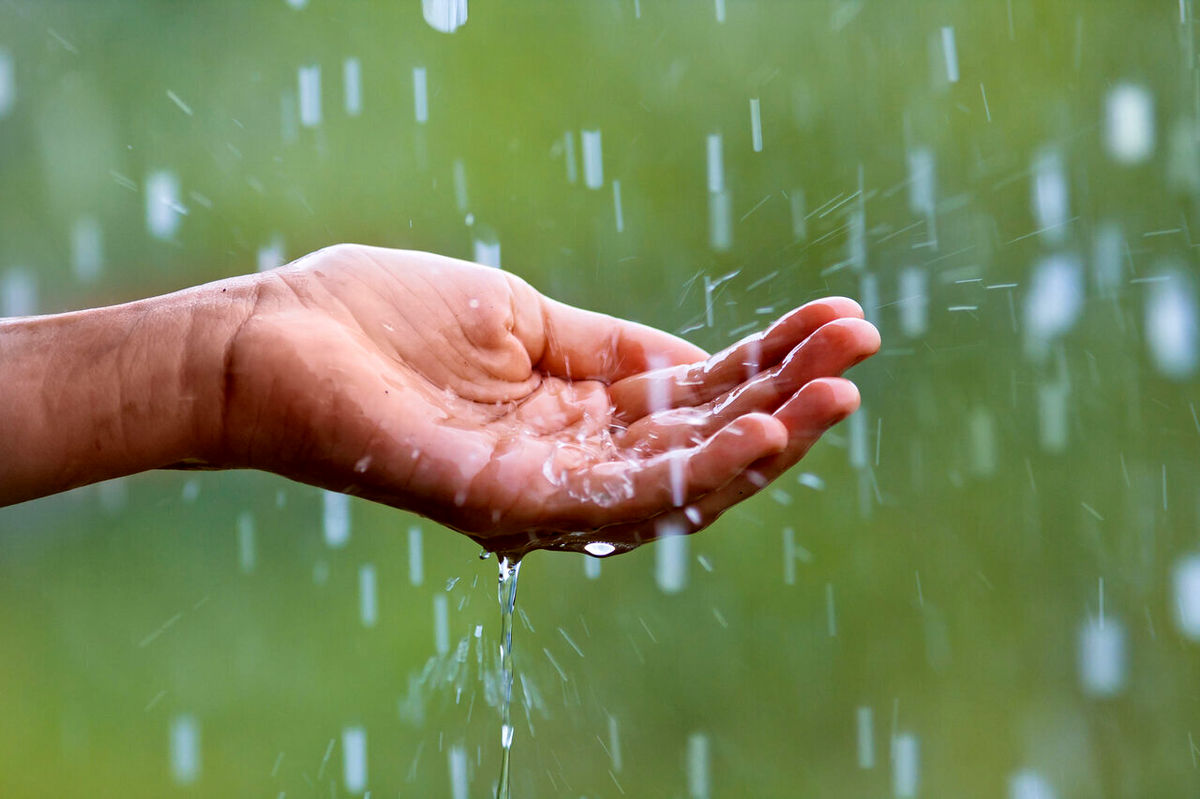 این استان ها به زودی بارانی میشوند