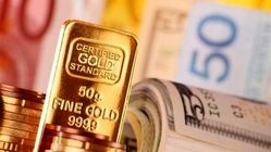 قیمت جدید طلا، سکه و دلار امروز ۱۴ تیر ۱۴۰۴/ طلا و سکه چقدر قیمت خورد؟