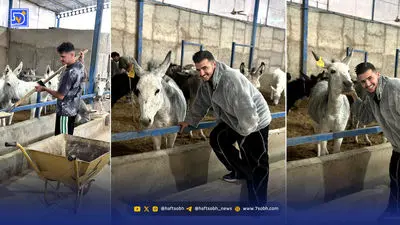 تخفیف‌های فریبنده | شگرد مدیریت تاریخ انقضا