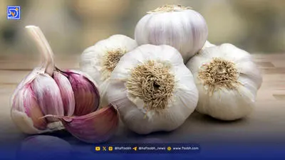 فروش داروی لاغری مانجارو در فضای مجازی به قیمت 56 میلیون تومان