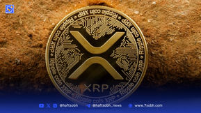 هجوم نهنگ‌ها به ریپل؛ افزایش بی‌سابقه کیف پول‌های بزرگ همزمان با جهش قیمت XRP