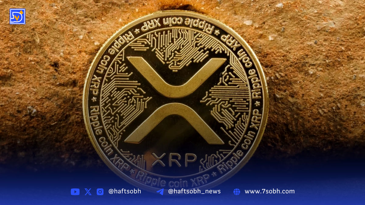 هجوم نهنگ‌ها به ریپل؛ افزایش بی‌سابقه کیف پول‌های بزرگ همزمان با جهش قیمت XRP