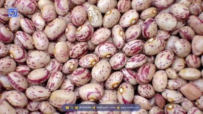 سفره کارگران آب رفت / معیشت سخت کارگران به روایت آمار + جدول