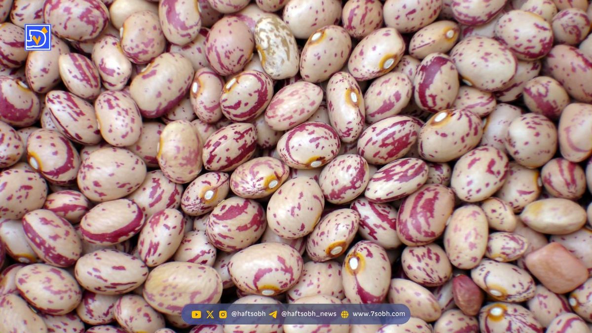 یک کیلو لوبیا چیتی 600 هزار تومان ! تورمی بالاتر از طلا و سکه