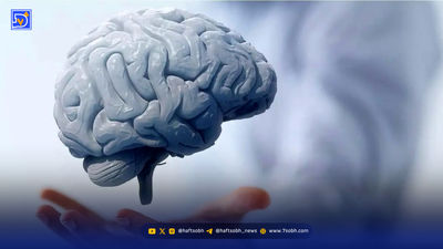 دستورالعملی ساده برای تقویت حافظه و تمرکز روزانه