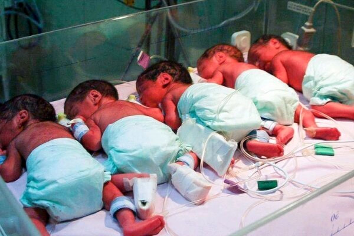 جزئیات جدید از تولد پنجقلوهای تبریزی