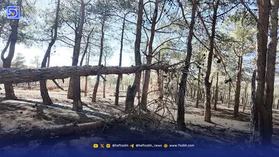جنگلبانان با جیب خالی به مراسم روز ملی جنگلبان آمدند