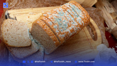  روحیه شاد عارف پس از ابتلا به سرطان 