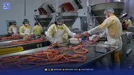 ایران؛ استثنای بازار جهانی گوشت