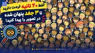 معما؛ فقط 20 ثانیه فرصت دارید تا 3 جغد پنهان شده در تصویر را پیدا کنید