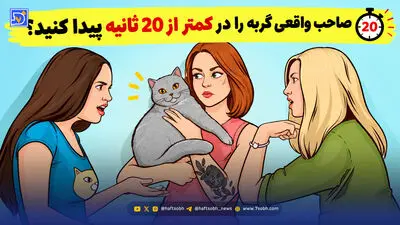 معما؛ آیا می توانید 4 چهره پنهان در تصویر را پیدا کنید؟