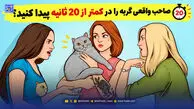 معما؛ صاحب واقعی گربه را در کمتر از 20 ثانیه پیدا کنید