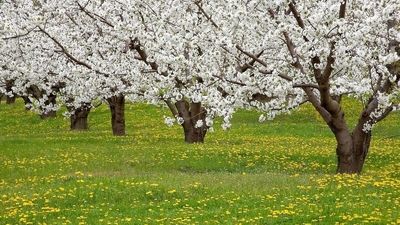 زورآزمایی‌ گرما با مردم‌ کره زمین