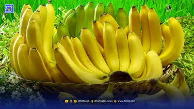 اگه فشار خون داری این مطلبو بخون!