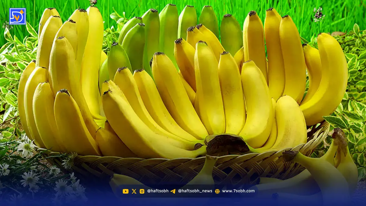 بهترین زمان خوردن موز