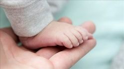 
کاهش باروری جهانی زنگ خطر را به صدا درآورد
