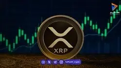 تحلیل قیمت XRP؛ آیا ریپل به حمایت 1.27 دلار سقوط می‌کند یا بازمی‌گردد؟