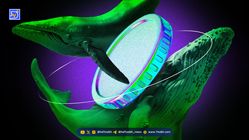 فروش گسترده توکن HYPE توسط نهنگ‌ها پیش از آنلاک شدن توکن