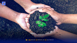 سمن‌ها با جیب خالی و آرزوهای بزرگ  