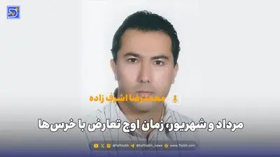  از لکه‌های نفتی قشم تا طرح نفوذ در مجلس