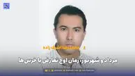 مرداد و شهریور، زمان اوج تعارض با خرس‌ها