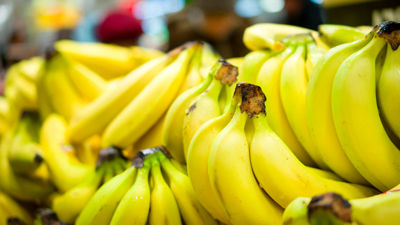 کم‌آبی و نبود نیروی کار چالش پسته‌کاران دامغانی