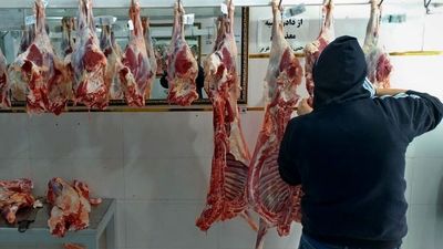 غیبت کوبیده | ناترازی بازار گوشت قرمز، گریبان مراسم سیزده بدر را هم گرفت 