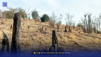 خشکیدگی خاموش در جنگل‌های تهران