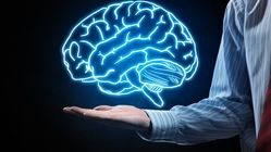 آیا مغز انسان «قدرت پیش بینی» دارد؟