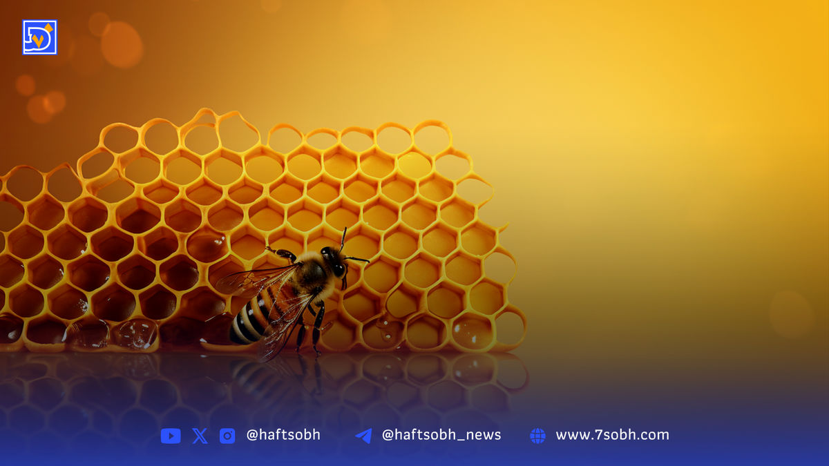 ذهن گرسنه، راهی بهجز ریسک ندارد