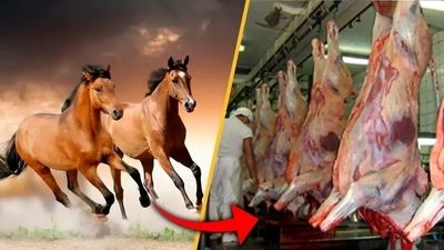 حادثه مرگبار در سنندج؛ واژگونی کامیون ۵ قربانی گرفت
