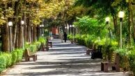 حضور عوامل یگان حفاظت شهرداری تهران در ۴ بوستان 