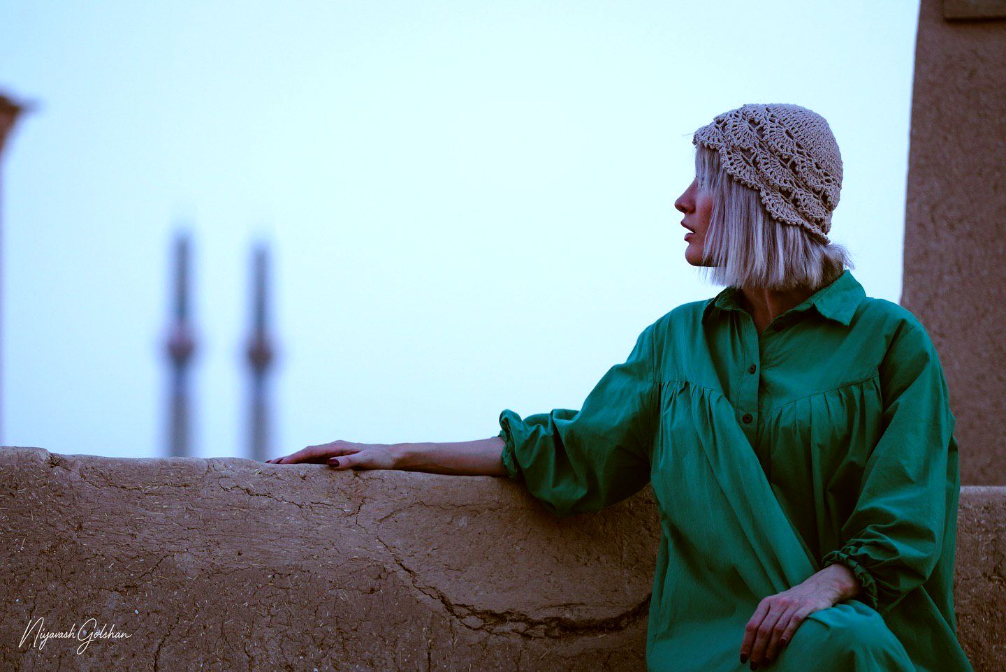 ریحانه رضی