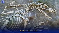 کشف دایناسوری عجیب با بدن پنگوئن و دهان پر از دندان!