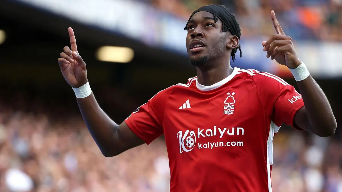 جشن هواداران سوئد پس از گل آنتونی الانگا