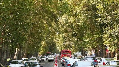 ویدئو پربازدید از ارائه مشاوره تلفنی توسط راننده اسنپ (تماشا کنید)
