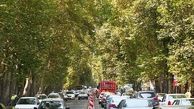 از هفت تیر‌تا پارک وی با آقا رضا