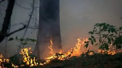 از آتش در دل مادر طبیعت تا فساد به اسم تولید ملی