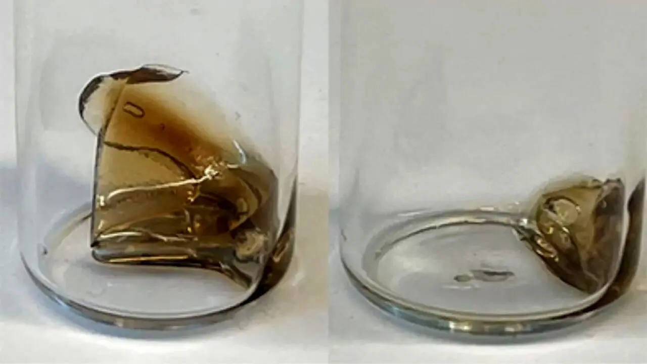 پلاستیک قابل‌تجزیه 