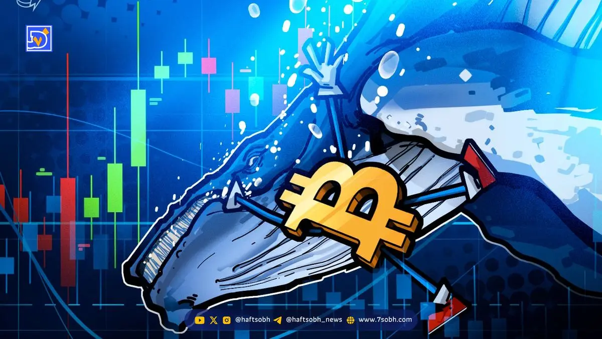شرط‌بندی بزرگ نهنگ بیت‌کوین روی سقوط قیمت BTC