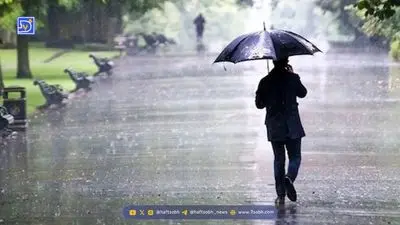 آخرین وضعیت هواشناسی | این استان ها امروز 26 آبان بارانی هستند + فیلم